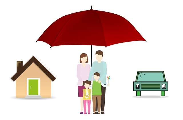 term life insurance