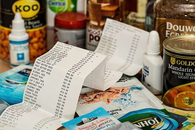 monthly budget